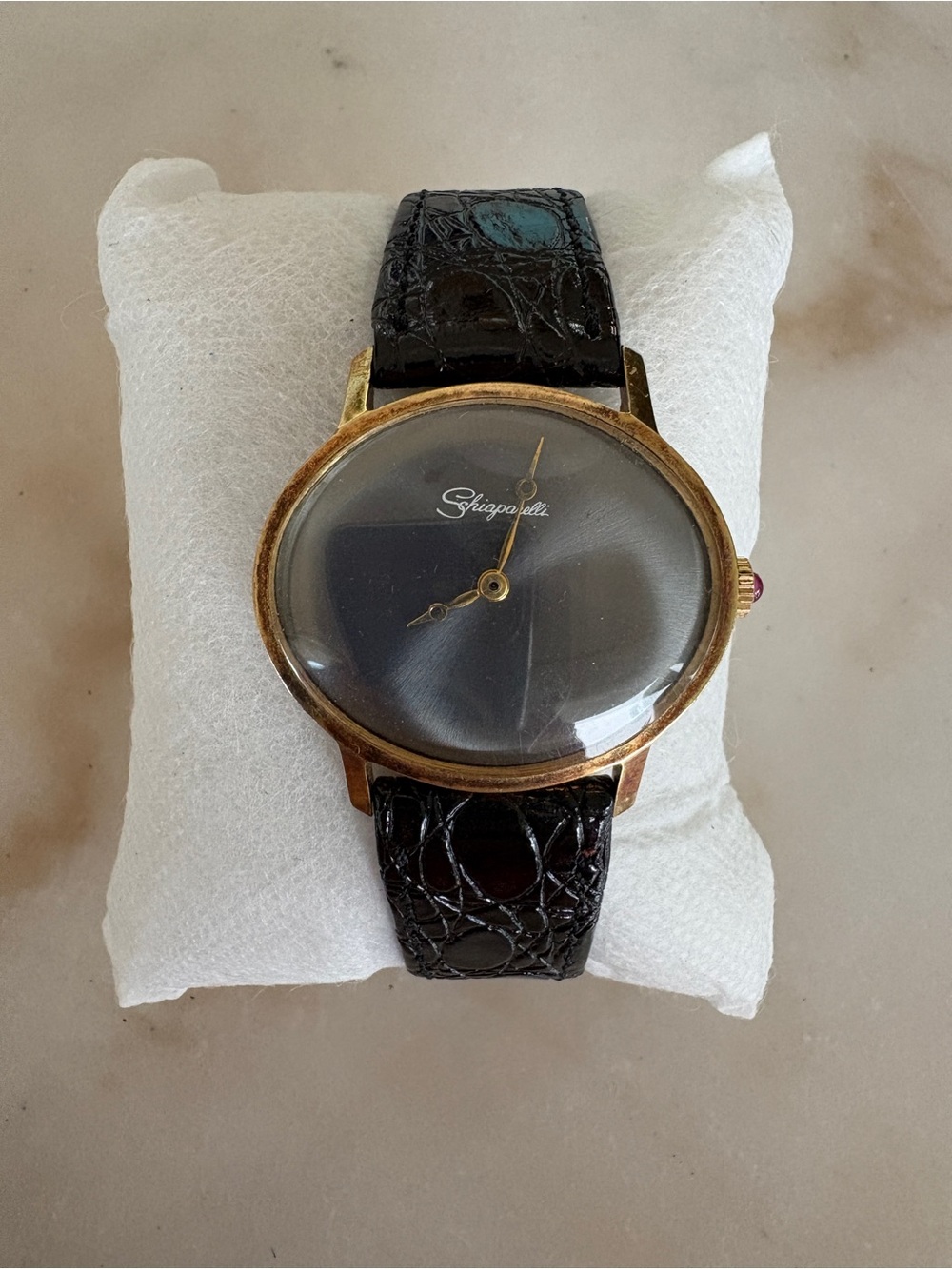 Shipporelli Women's Black Leather Strap Watch with Gold Case
